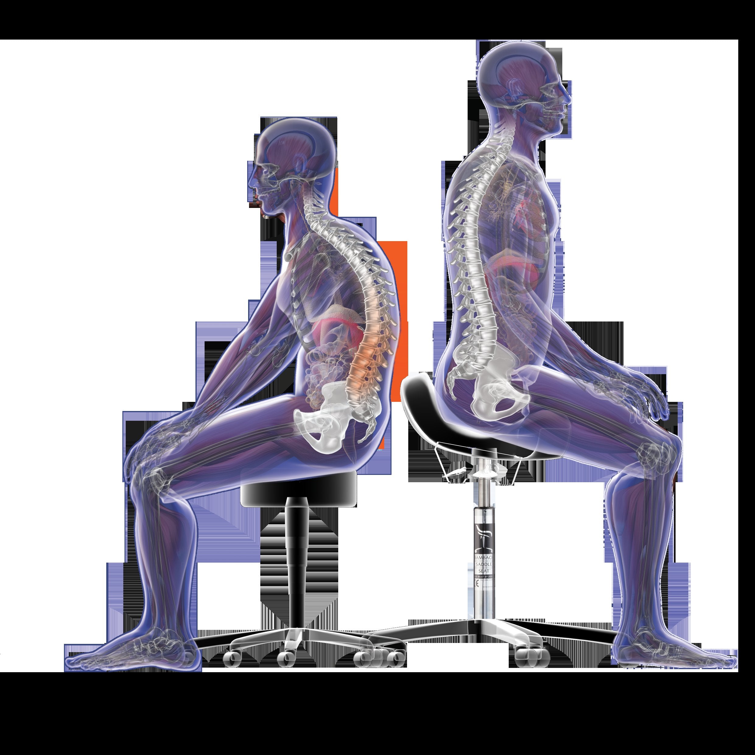 Saddle Chairs: Ergonomic seating for a healthier back and improved posture | Sit Healthier