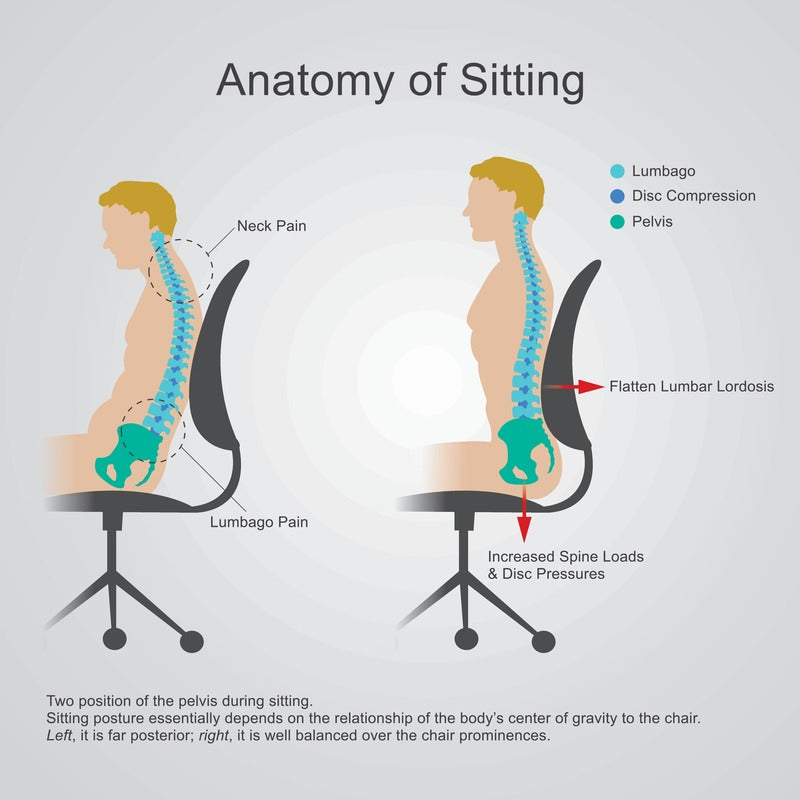 Ergonomic Stool Saddle vs Traditional Office Chair | Sit Healthier