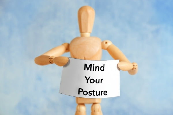 Why You Need an Ergonomic Saddle Chair: The Importance of Good Posture | Sit Healthier