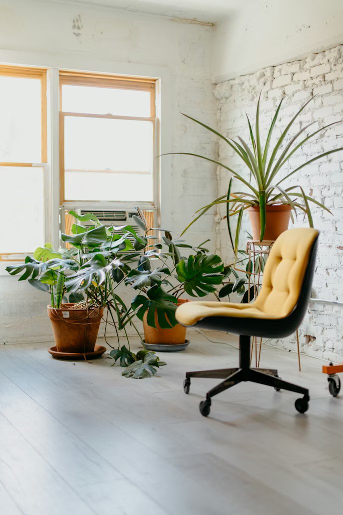 Different Types of Office Chairs: Find Your Fit