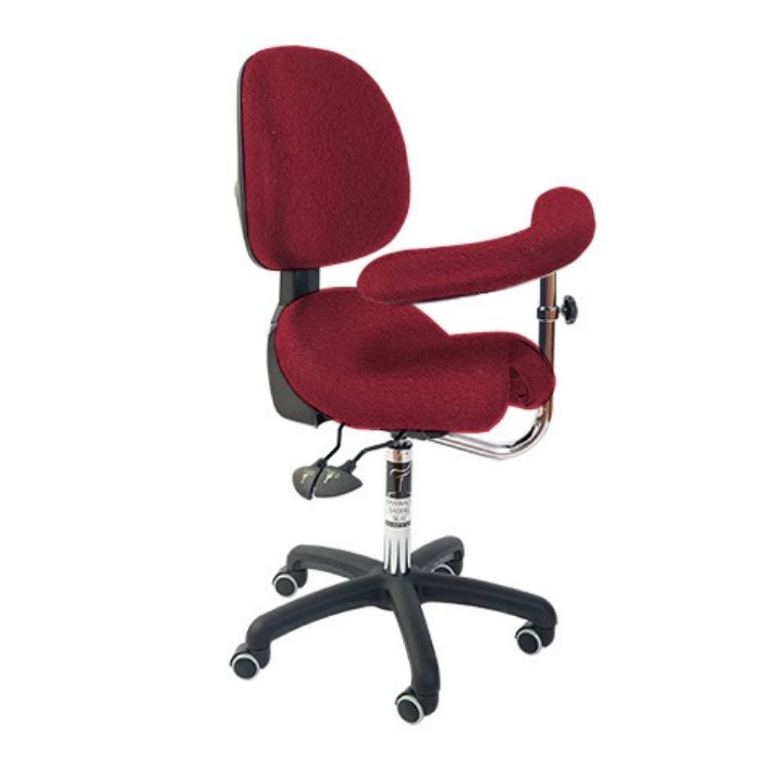 Bambach Ergonomic Saddle Stool with Back Rest and Swing Arm | Sit Healthier