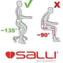 Salli Twin Ergonomic Saddle Chair for Better Posture | Sit Healthier