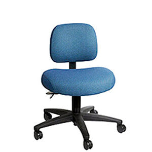 SomaComfort Low Back Ergonomic Chair by Soma | SitHealthier