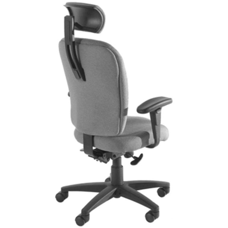 Dany High Back Executive Task Chair with Headrest | Sithealthier.com