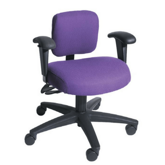 SomaComfort Low Back Ergonomic Chair by Soma | SitHealthier