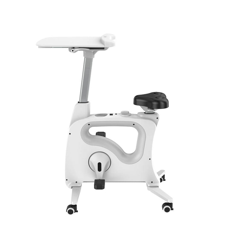 All-In-One Home Office Standing Exercise Desk Bike - Sit Healthier