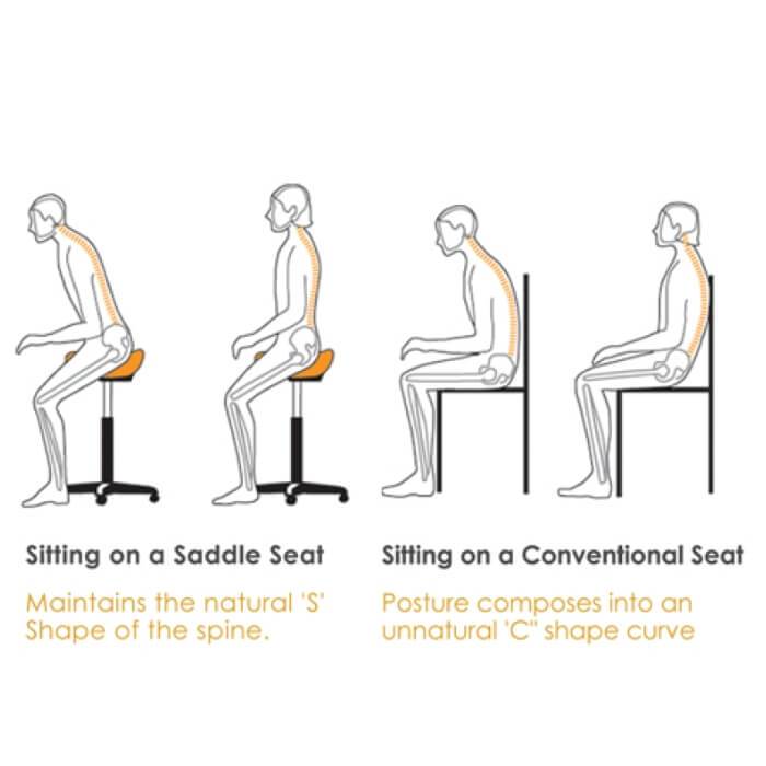 English Style Saddle Ergonomic Stool - Decrease Pain and Fatigue - Sit Healthier