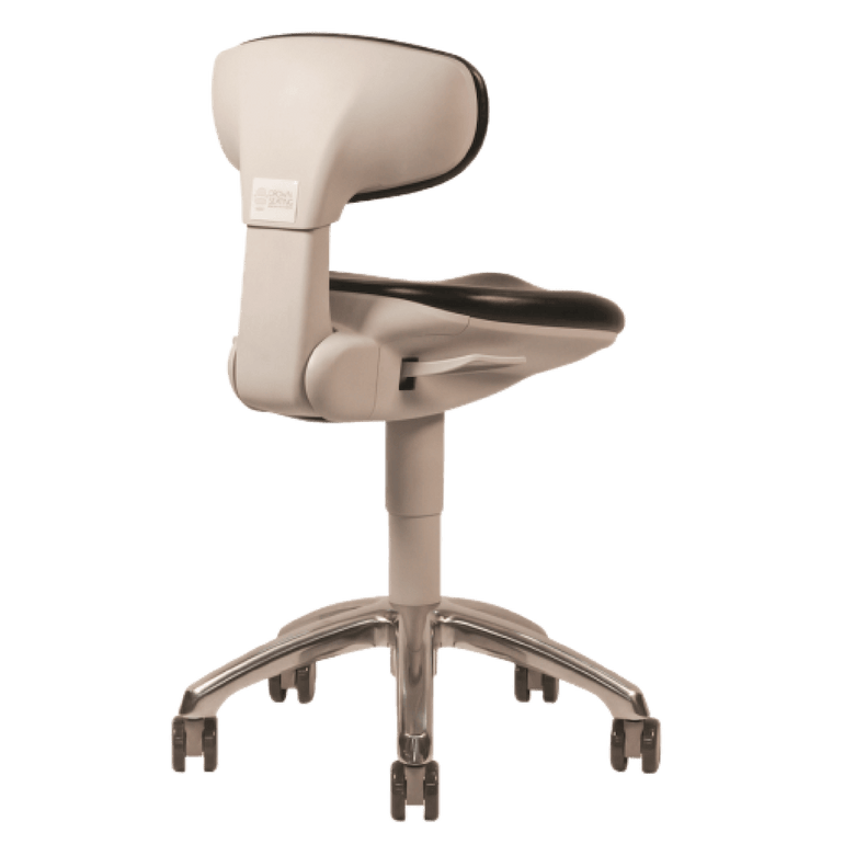 European Contour Ergonomic Chair with Lumbar Back - Sit Healthier