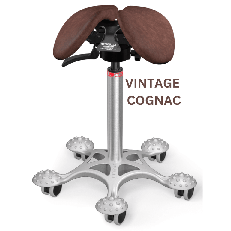 Salli ErgoRest Twin Sonography Chair for Better Posture - Sit Healthier